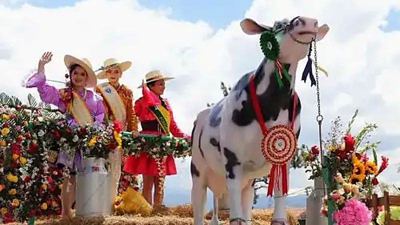FONGAL y Fiestas Patrias, Cajamarca